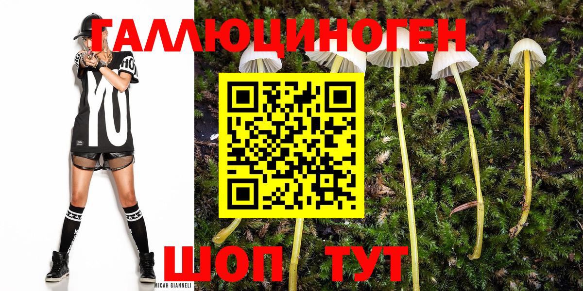 Галлюциногенные грибы прущие грибы Лесной