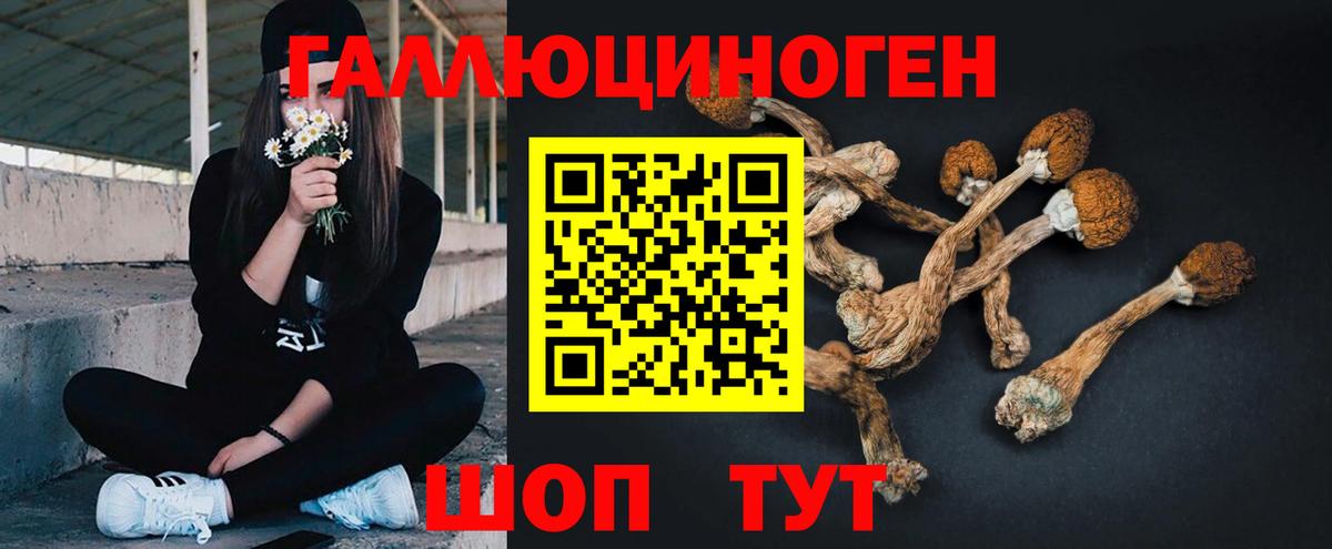 сколько стоит  Галлюциногенные грибы мухоморы  Вход с VPN  Лесной 